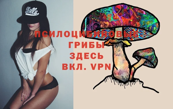 ALPHA PVP Балахна