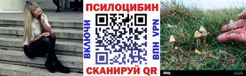 ссылка на мегу tor Гурьевск Галлюциногенные грибы Psilocybine cubensis наркотики
