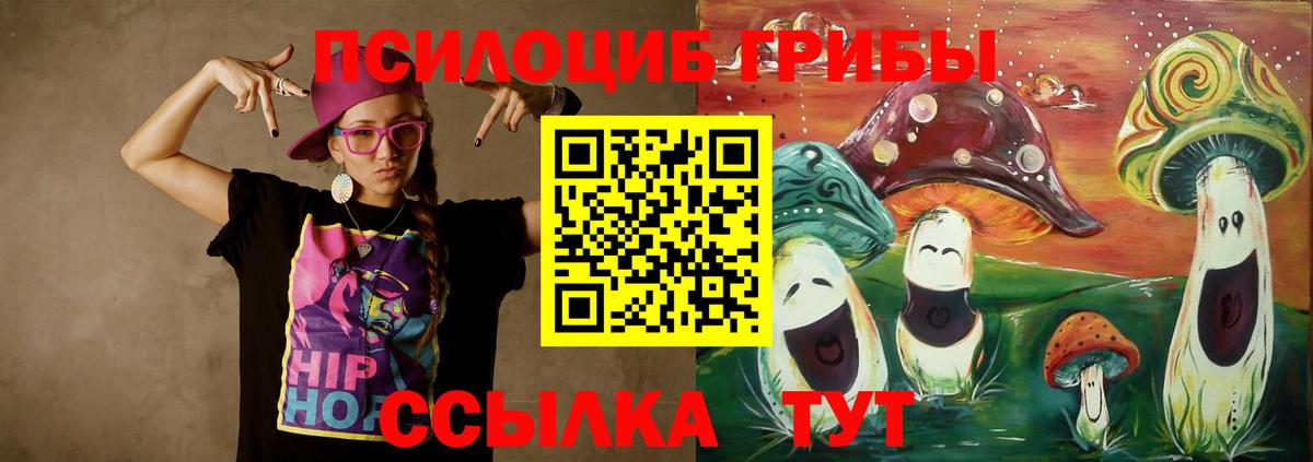 Гурьевск  цена   Вход с VPN  Галлюциногенные грибы Psilocybe 
