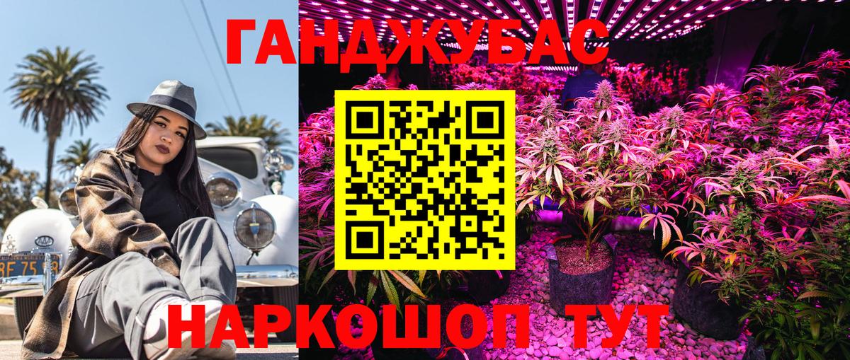 Бошки марихуана тримм  Вход с VPN  Гурьевск  Конопля план 